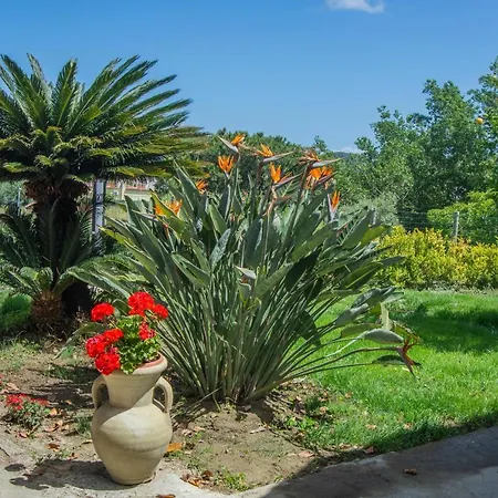Casa Yucca Vila Forio di Ischia Exterior foto