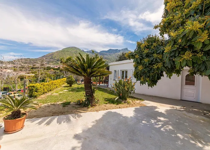 Casa Yucca