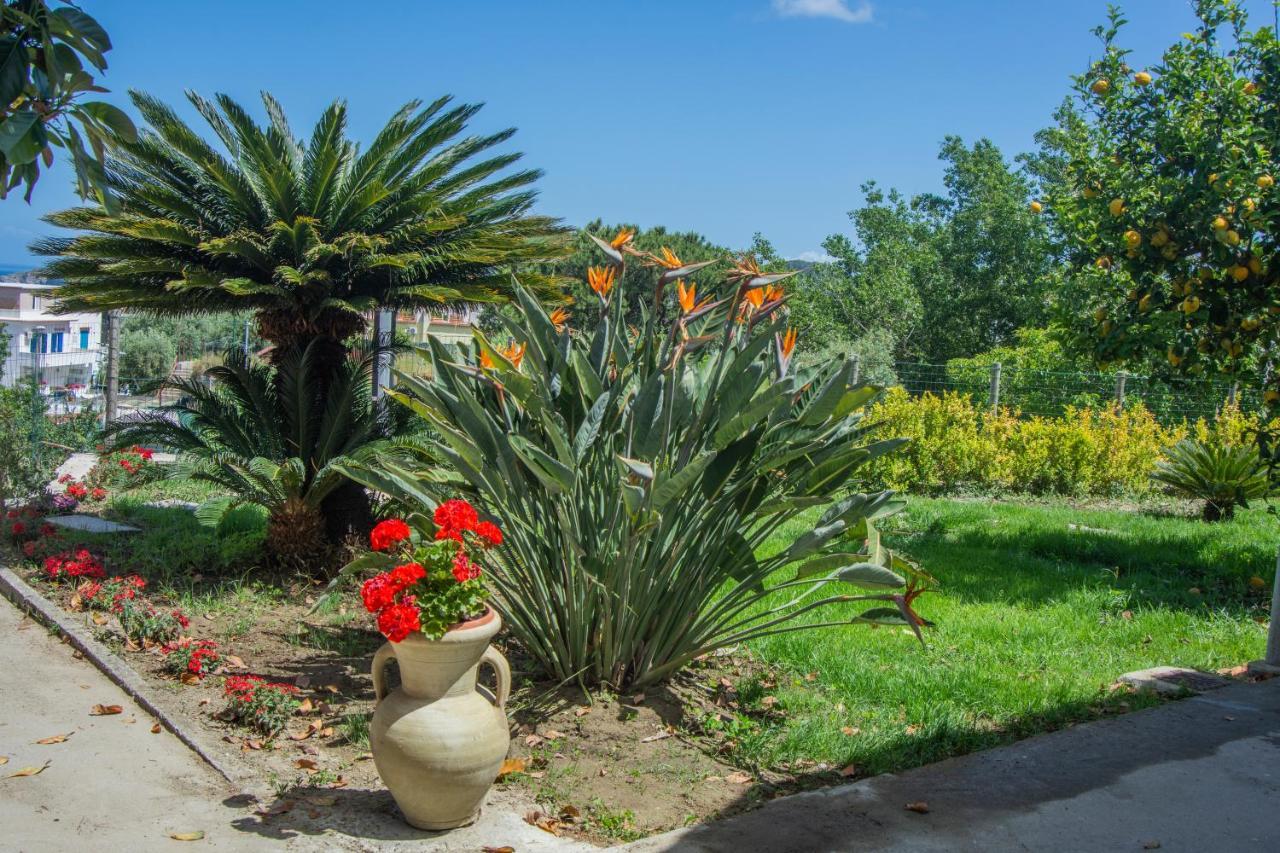 Casa Yucca *