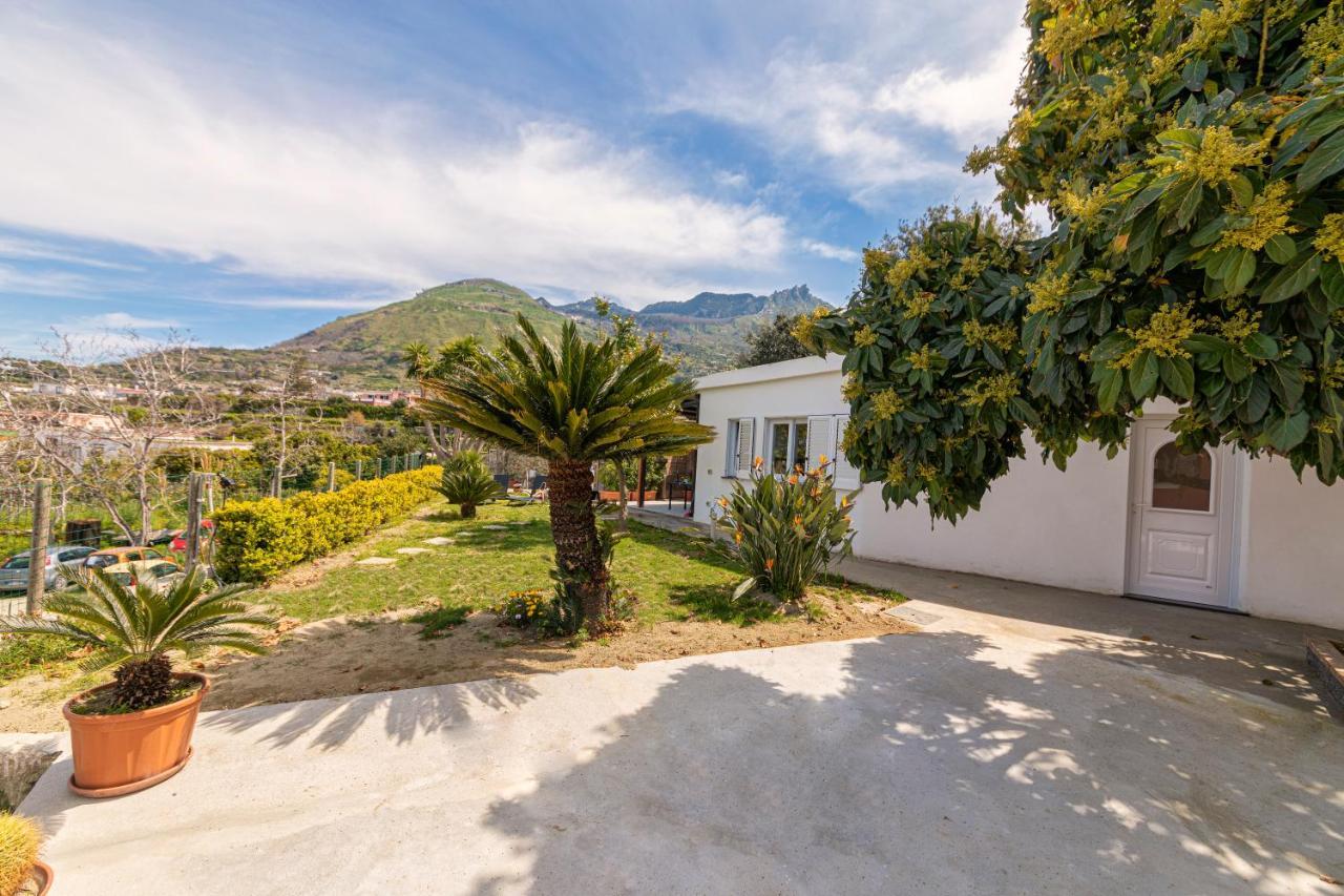 Casa Yucca Holiday home *