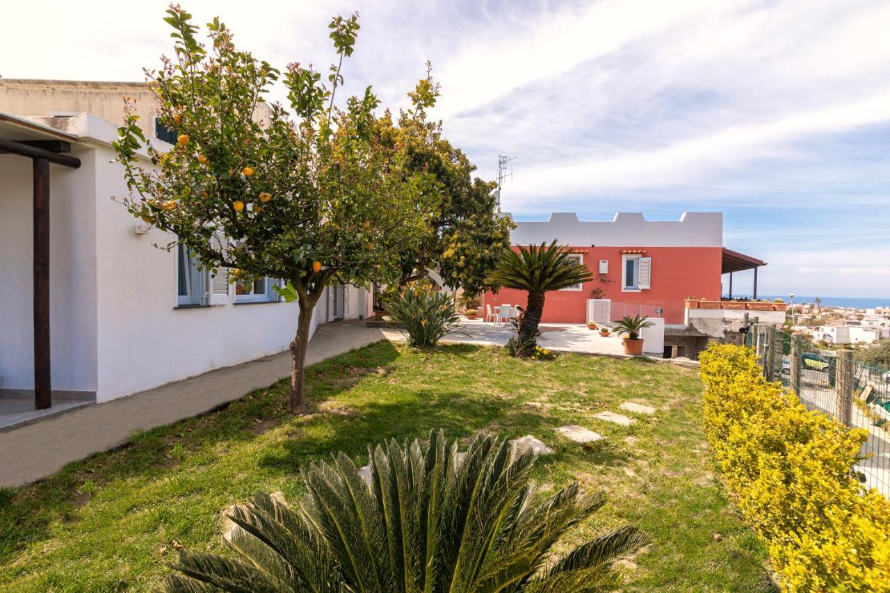 Holiday home Casa Yucca Forio (Isola d'Ischia)