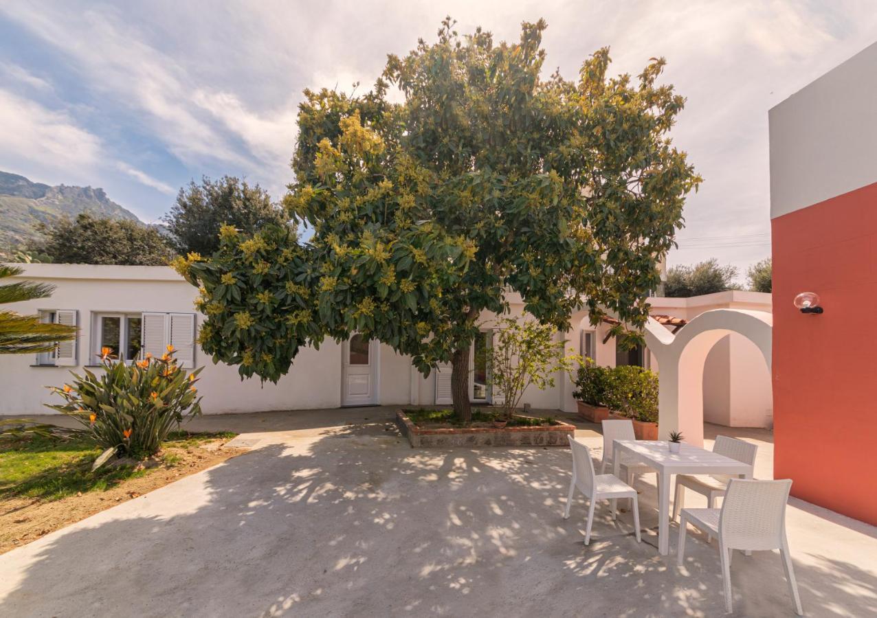 Holiday home Casa Yucca Forio (Isola d'Ischia)